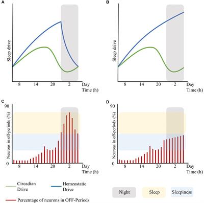 Sleepiness as a Local Phenomenon